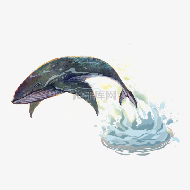 大鲸鱼鲸鱼海浪