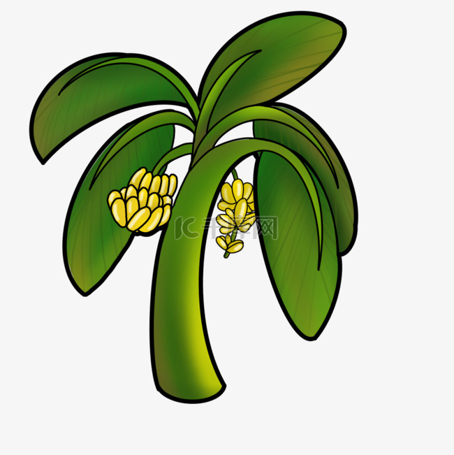 涂鸦风格香蕉树剪贴画