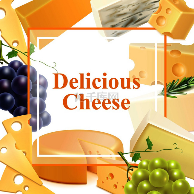 各种逼真的奶酪，带有葡萄枝、绿