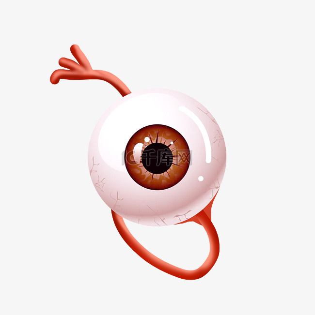 人体组织眼睛