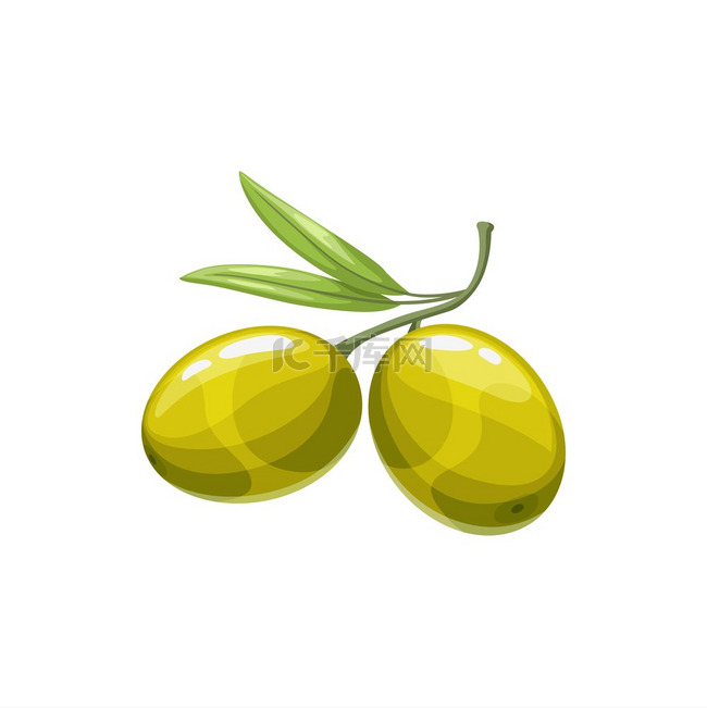 绿色橄榄浆果是天然蔬菜健康食品