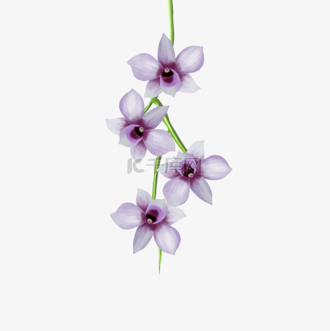 浅紫色花蕊兰花剪贴画