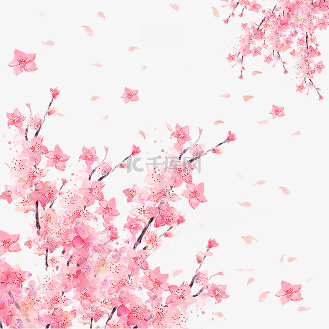 日本粉色樱花春季花瓣光效飘落