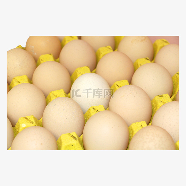 鸡蛋排列  鸡蛋槽