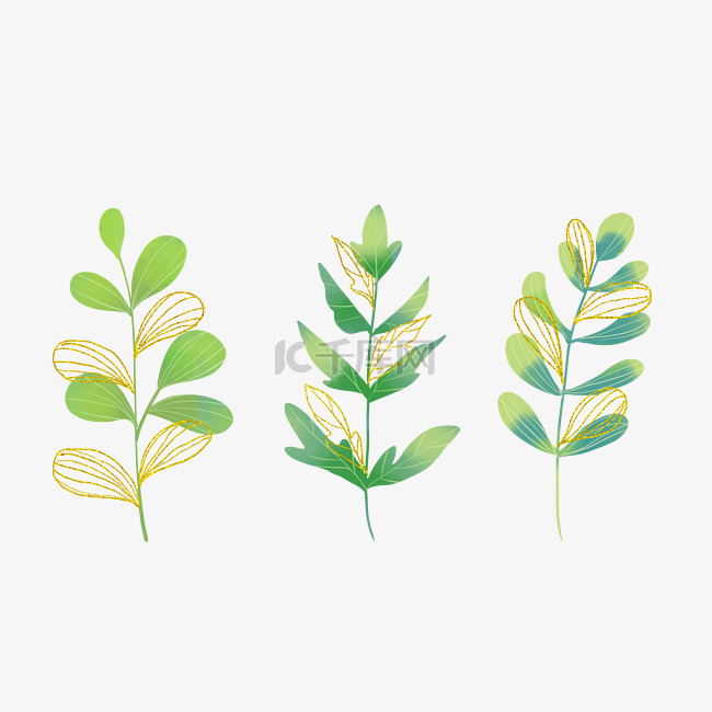 水彩鎏金植物绿叶