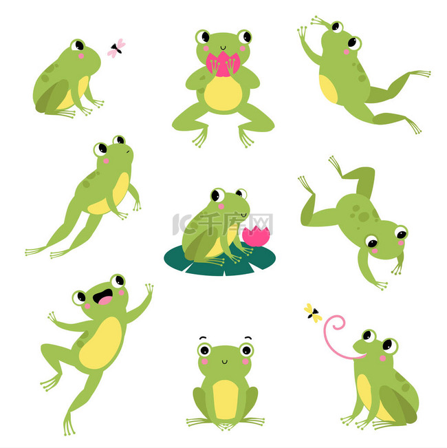 可爱的绿色青蛙跳跃、坐在树叶上