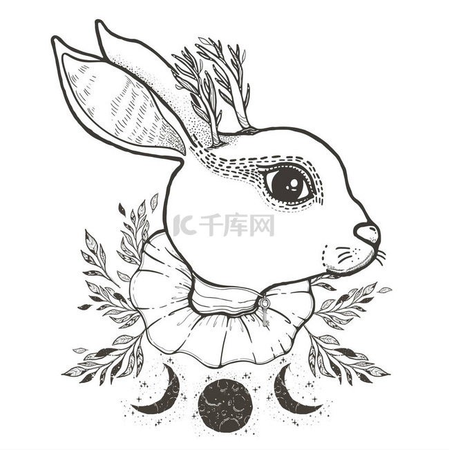 素描图形插图马戏团兔子与神秘和