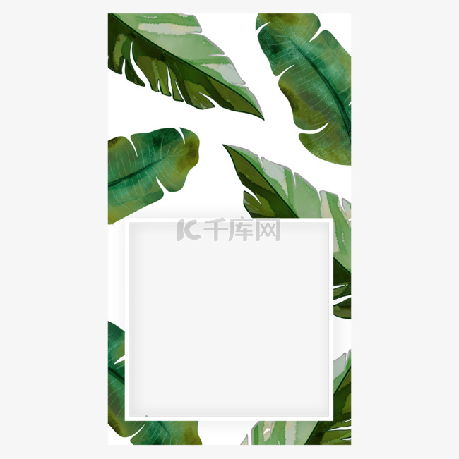 边框水彩植物自然正方形instagram