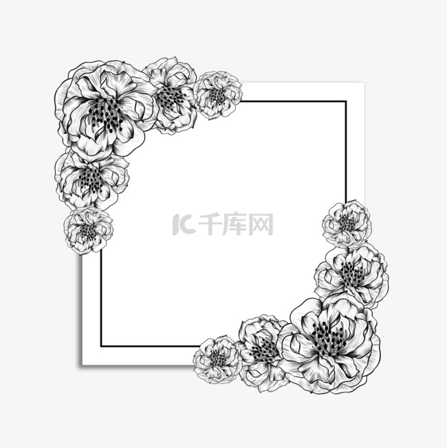 素描黑白花卉边框