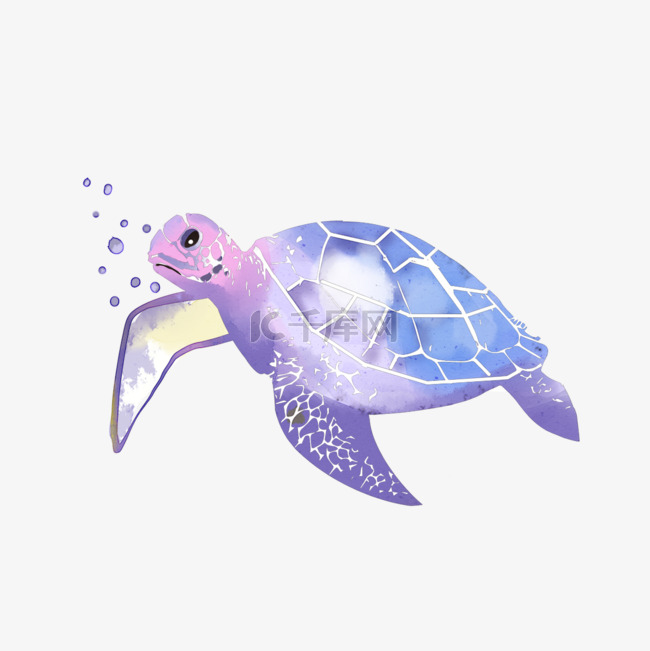 乌龟紫色水彩动物
