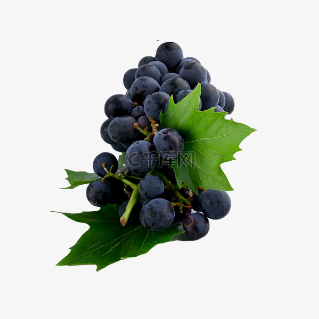 葡萄水果颜色食物