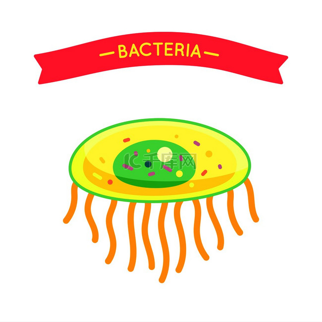 带有微生物细胞和红色横幅的细菌
