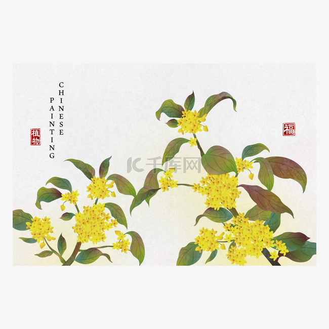 中国水墨画艺术背景植物典雅的花