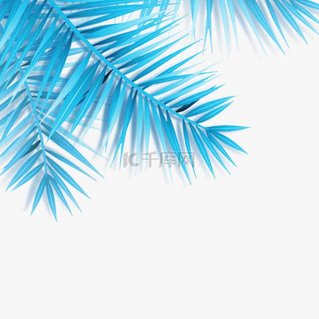 蓝色的椰子树叶