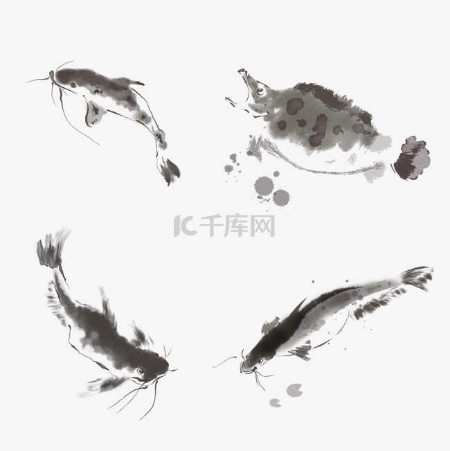 水墨鱼锦鲤中国风鲤鱼动物鱼类