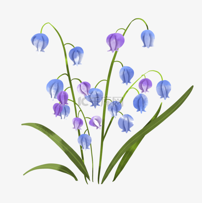 蓝铃花水彩婚礼植物花卉