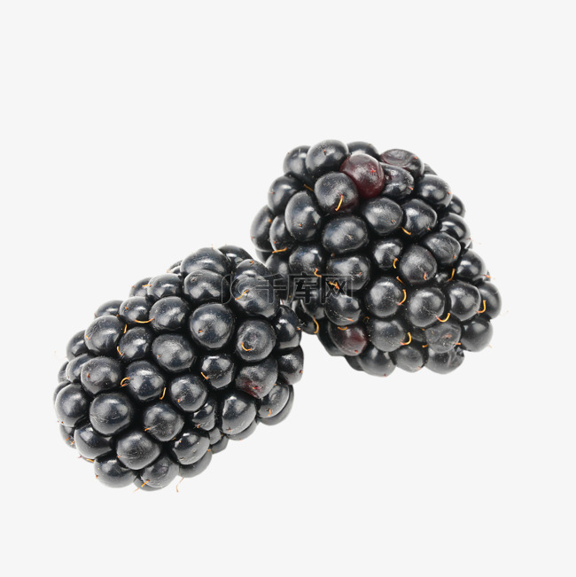新鲜水果黑莓莓果