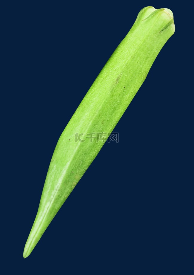 美食蔬菜秋葵
