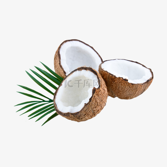 椰子食品植物圆形