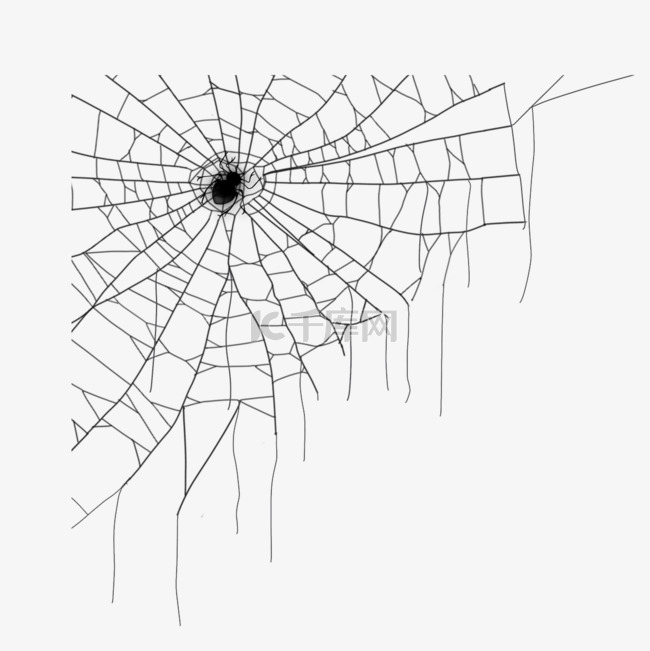 蜘蛛网蜘蛛线条细丝