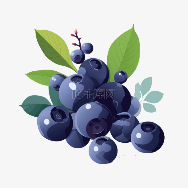 扁平插画手绘蓝莓