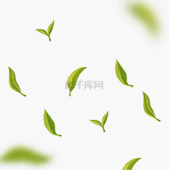 春季植物绿茶茶叶