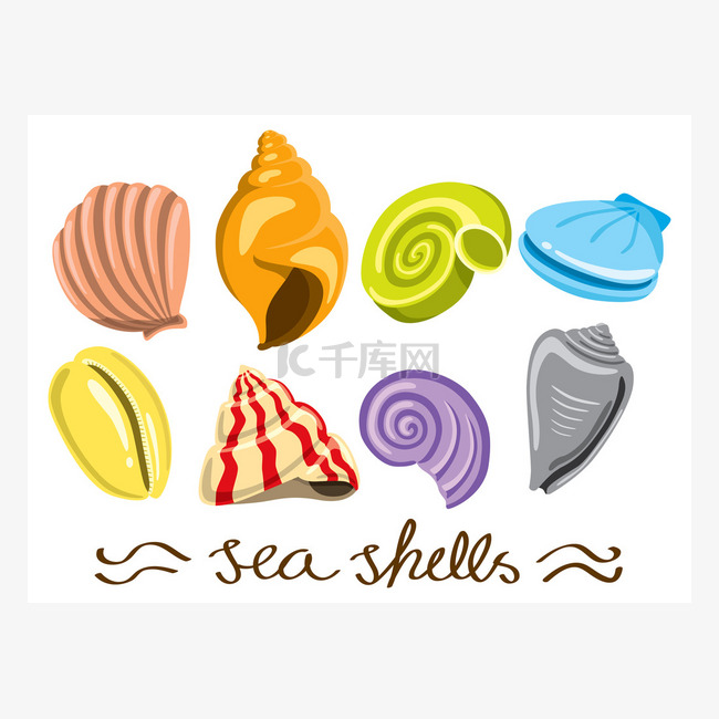 Set of colorful sea shells