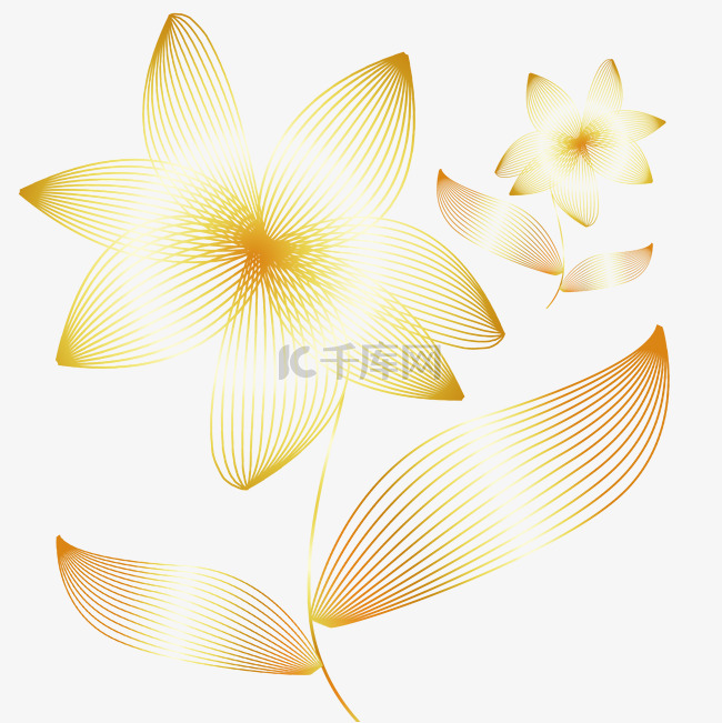 金色线描描线花朵