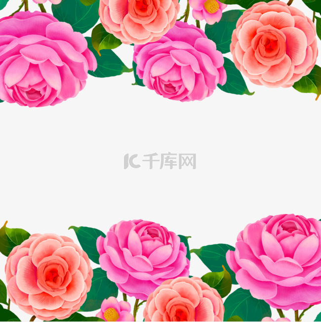 山茶花水彩粉色花卉植物边框