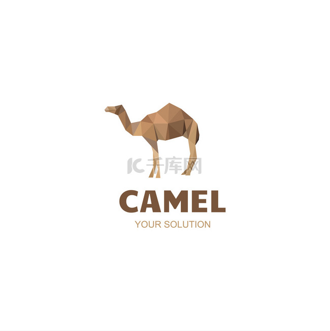 徽骆驼公司