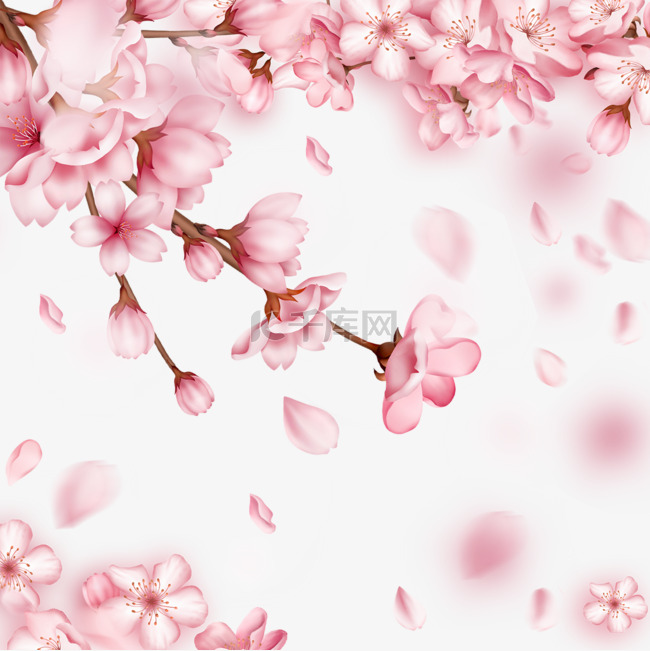 春季粉色樱花边框光效花瓣飘落