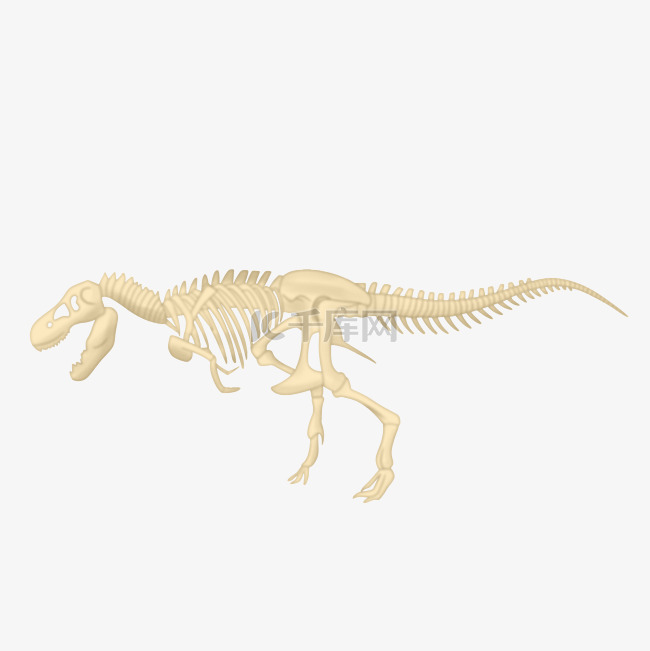 化石恐龙骨架