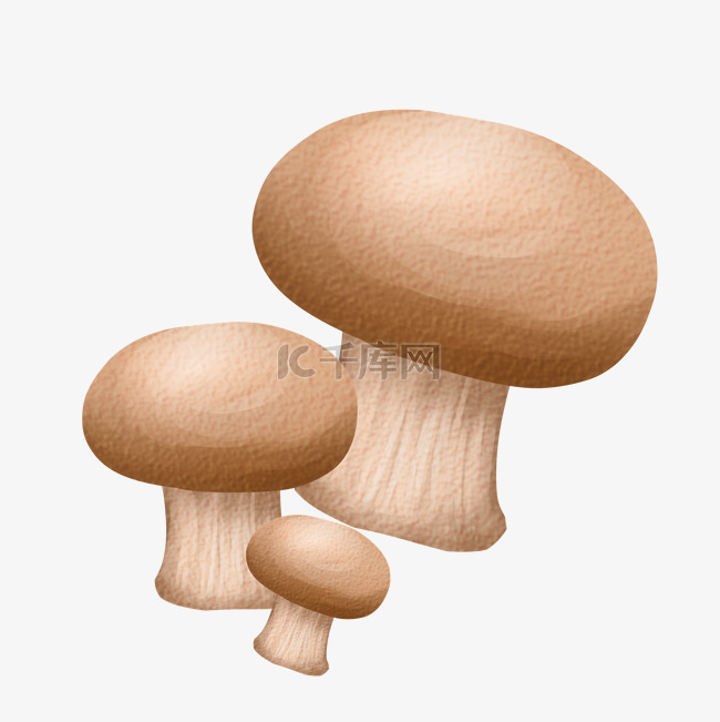 秋天秋季食物蘑菇仿真