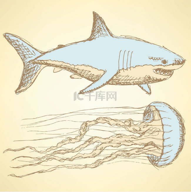 素描鲨鱼和水母的复古风格