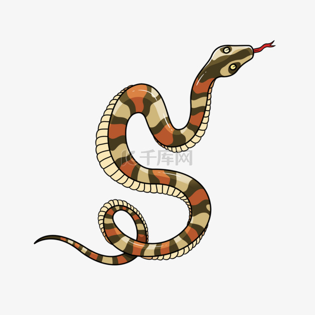 毒蛇色彩斑斓插画风格