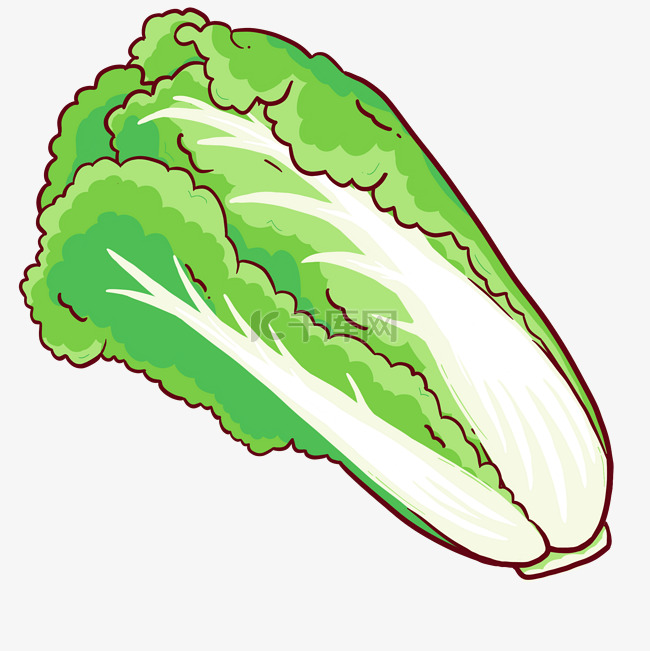 蔬菜白菜绿色卡通植物