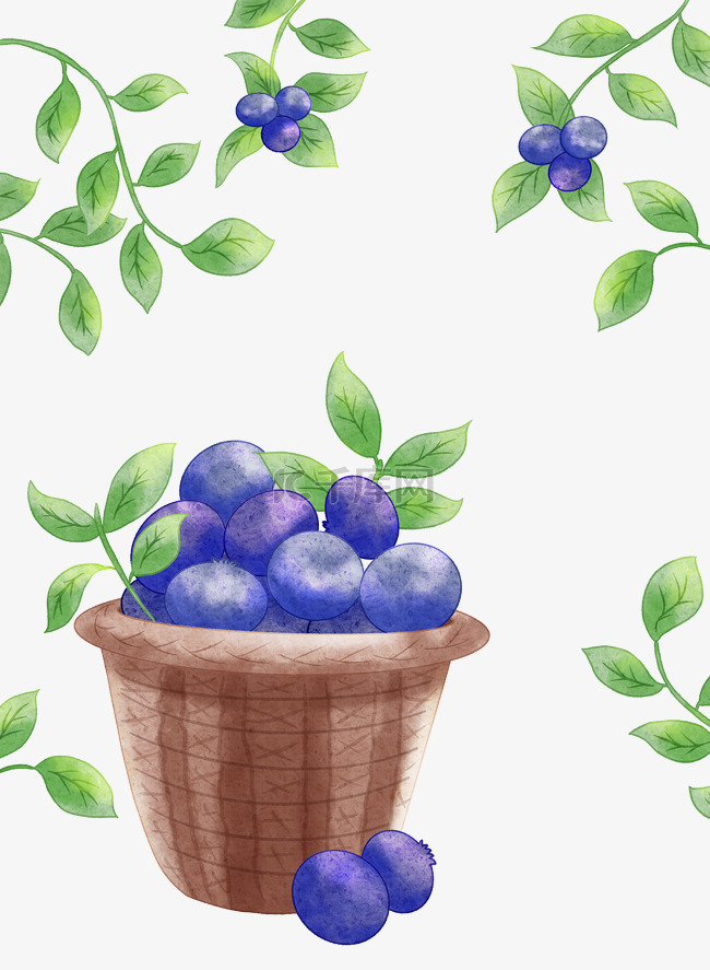 蓝莓水果果实