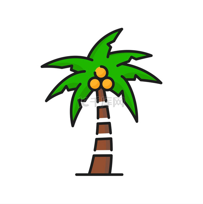 带椰子的棕榈树、绿色热带树图标