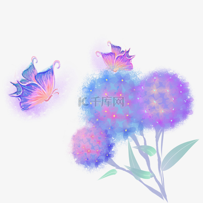 梦幻绣球花和蝴蝶