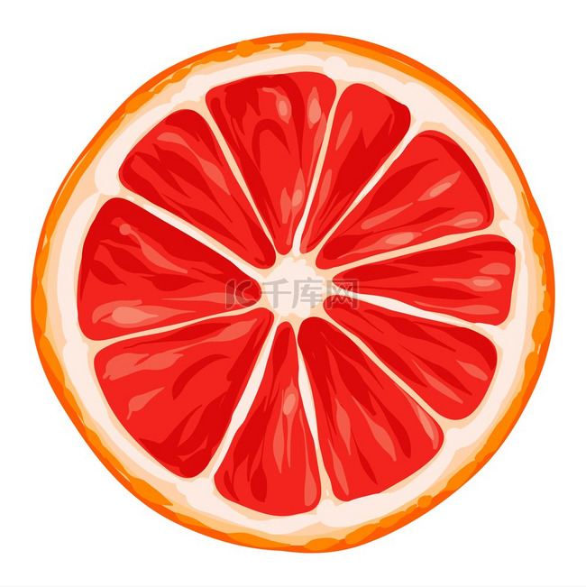 葡萄柚的风格化插图用于设计和装