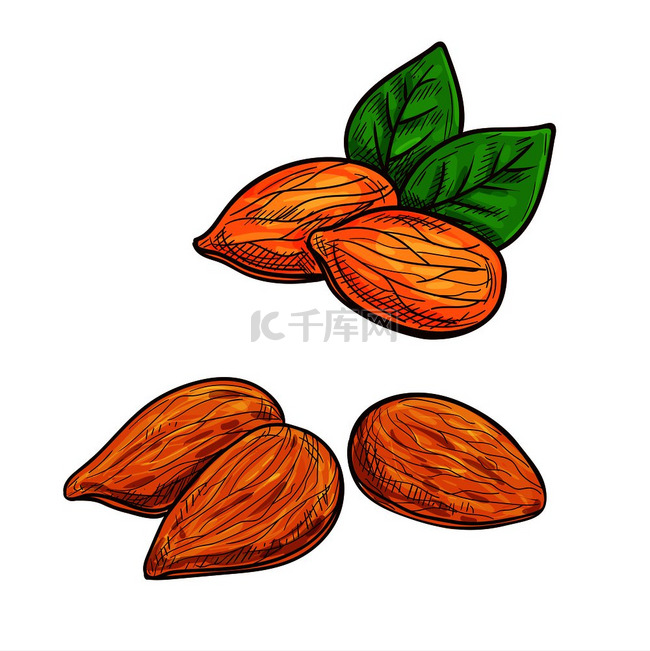 杏树用于零食产品标签包装标签杂