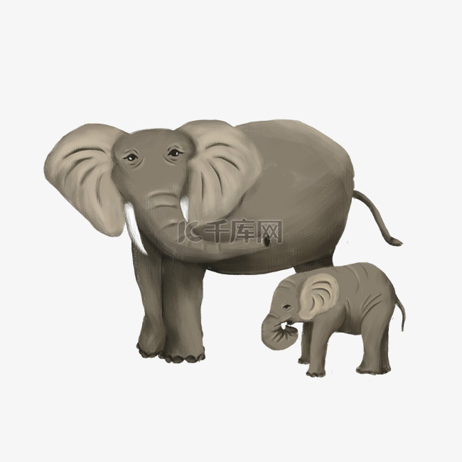 大象动物