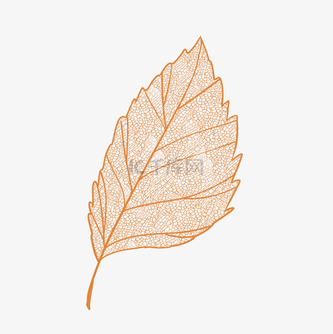 秋天仿真树叶叶脉透明纹理书签