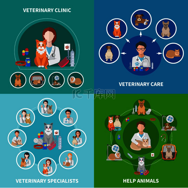 兽医诊所动物护理治疗程序药物专