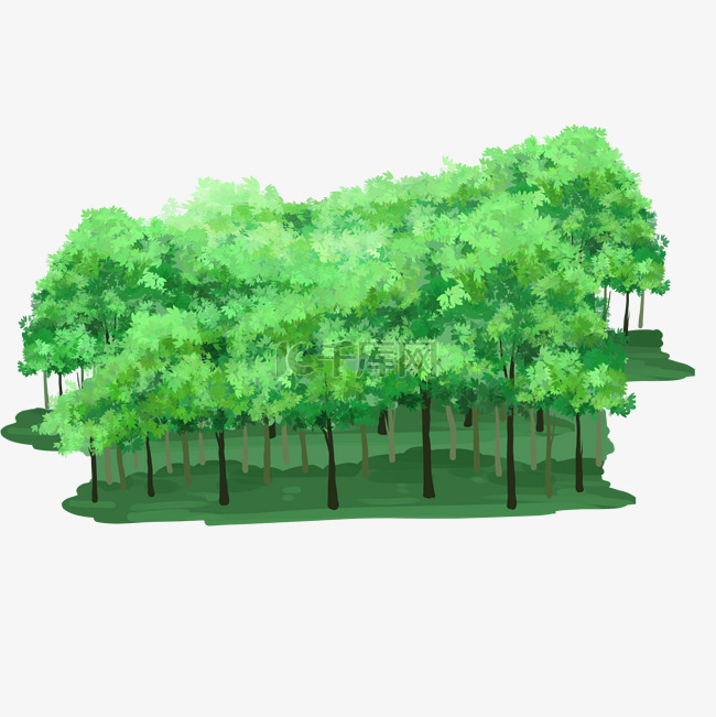 绿色植物树林森林