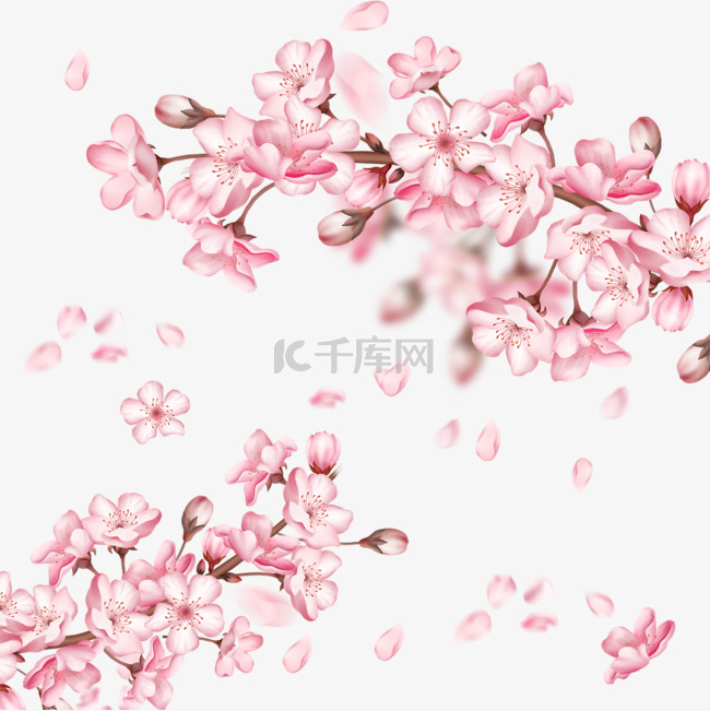 春季光效樱花飞舞日本花瓣飘落