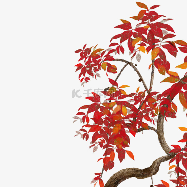 古风中国风红色树叶树木