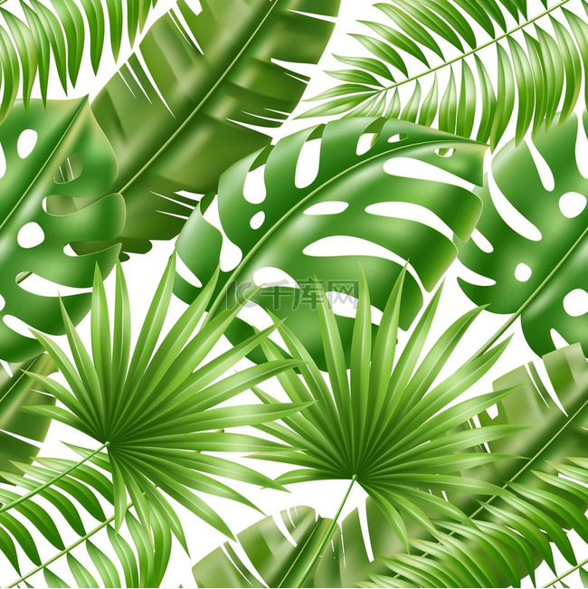 热带树叶无缝图案异国情调的绿色