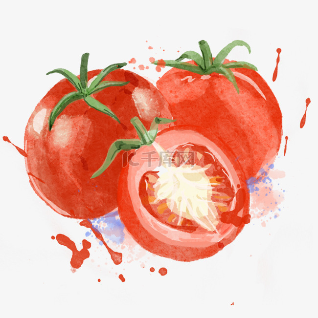 西红柿切开一半的水彩蔬菜水果