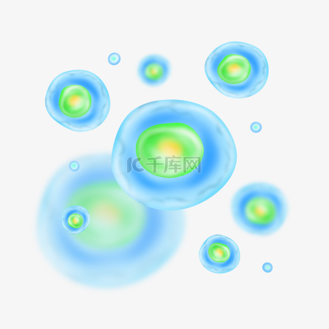 球形细胞动物膜细胞蓝色绿色